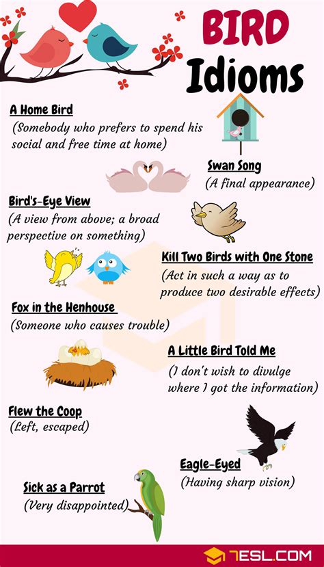 Idiom: Bird’s.